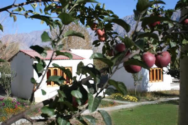 Himalayan Eco Resort Hundar Exterior photo